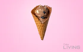 Buy 1 Single Scoop of Ice Cream - Get 1 Free